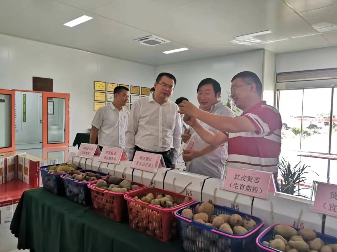 1662689020873089645.jpg 1815580828.jpg