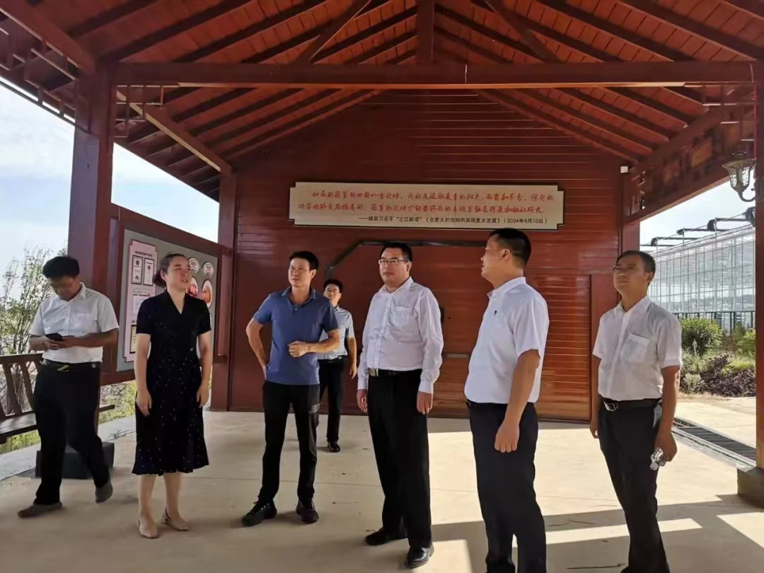 1662689032079010226.jpg 311937805.jpg