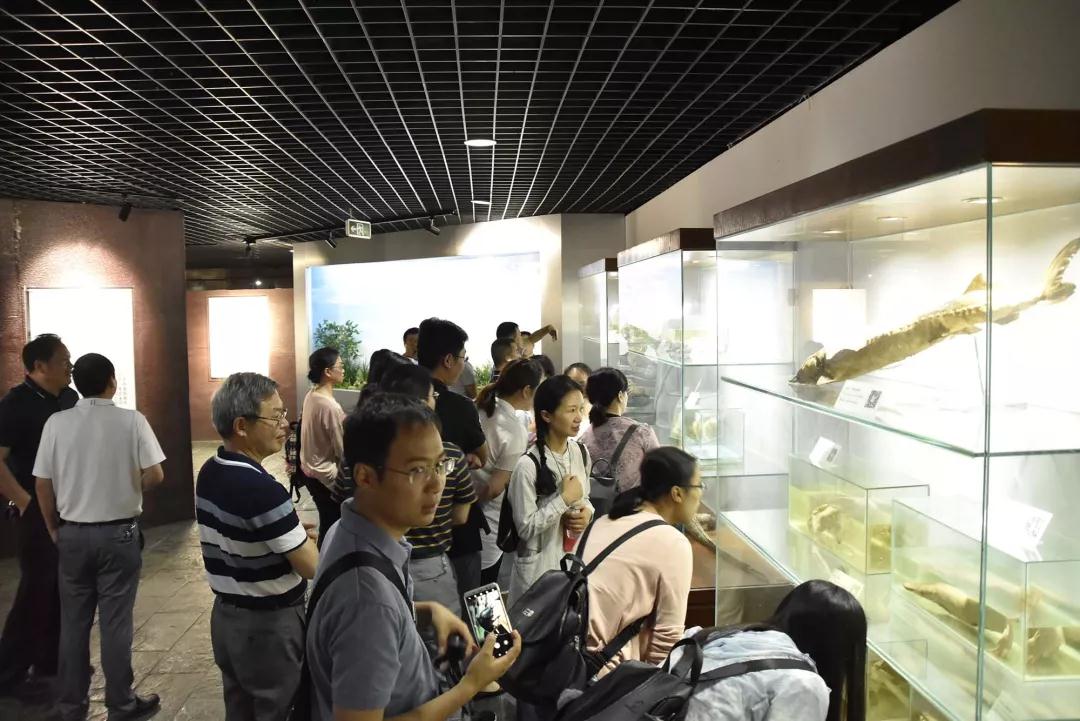 1559123467705088365.jpg 微信图片_20190529175732.jpg