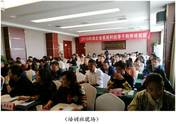 1572920691332093867.jpg TIM图片20191105101855.jpg