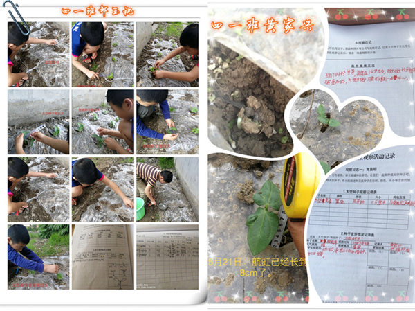 1590630345090061508.jpg 3荆州沙市区南桥小学.jpg