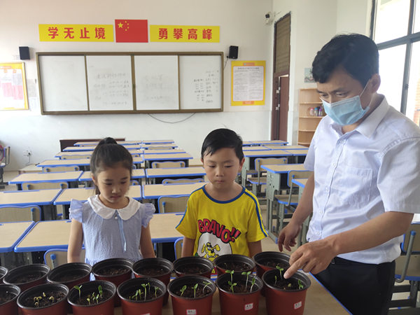 1590630431732044878.jpg 4监利县英才学校.jpg