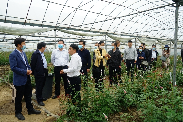 1653038078615056625.jpg ceb590985c8e082c712f871ca5d0e3c9.jpg