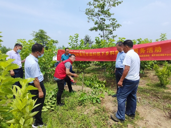 1654048019717000797.jpg 7.jpg