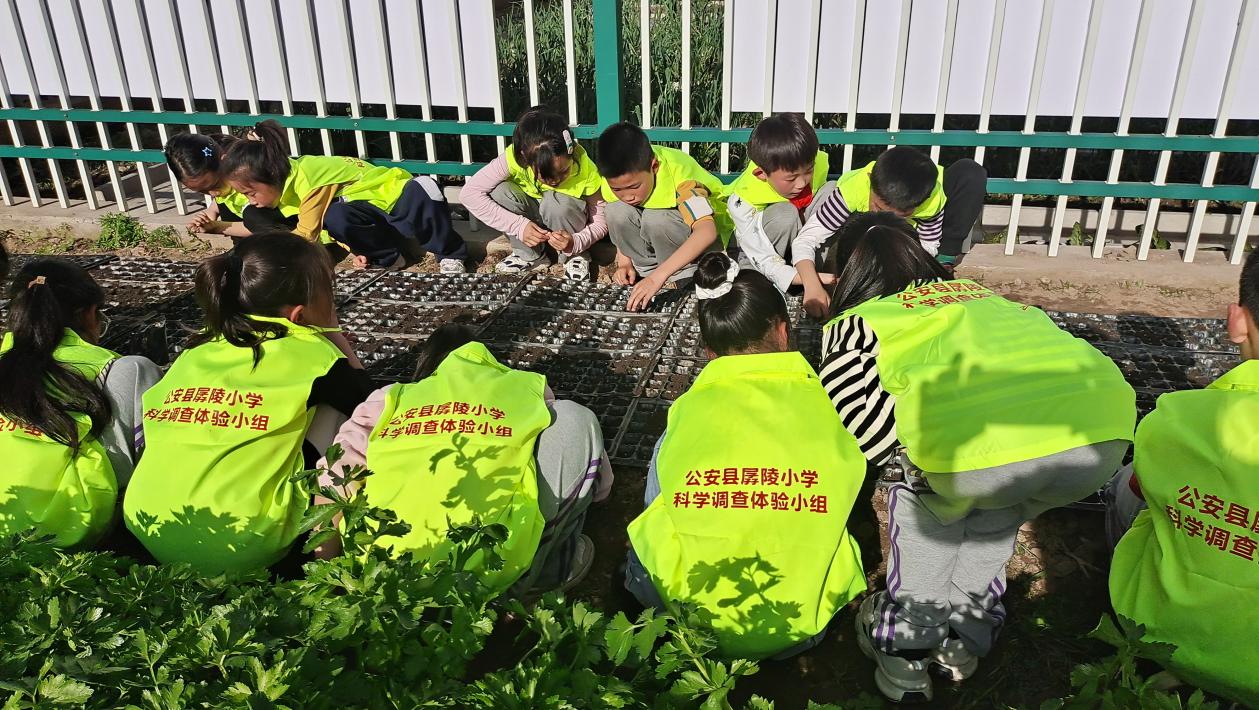 1713835473361067279.jpg 图片1.jpg
