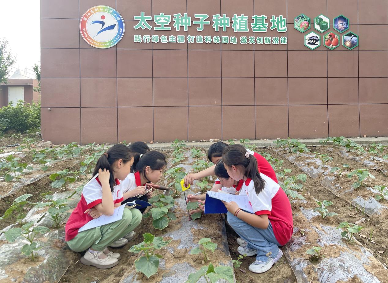 1715732771051075882.jpg 图片1.jpg