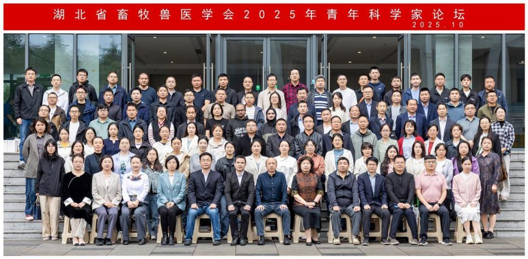 1761120565918001790.png 图片3.png